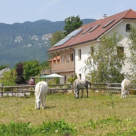 Lipizzaner Lodge Guest House Postumia Esterno foto