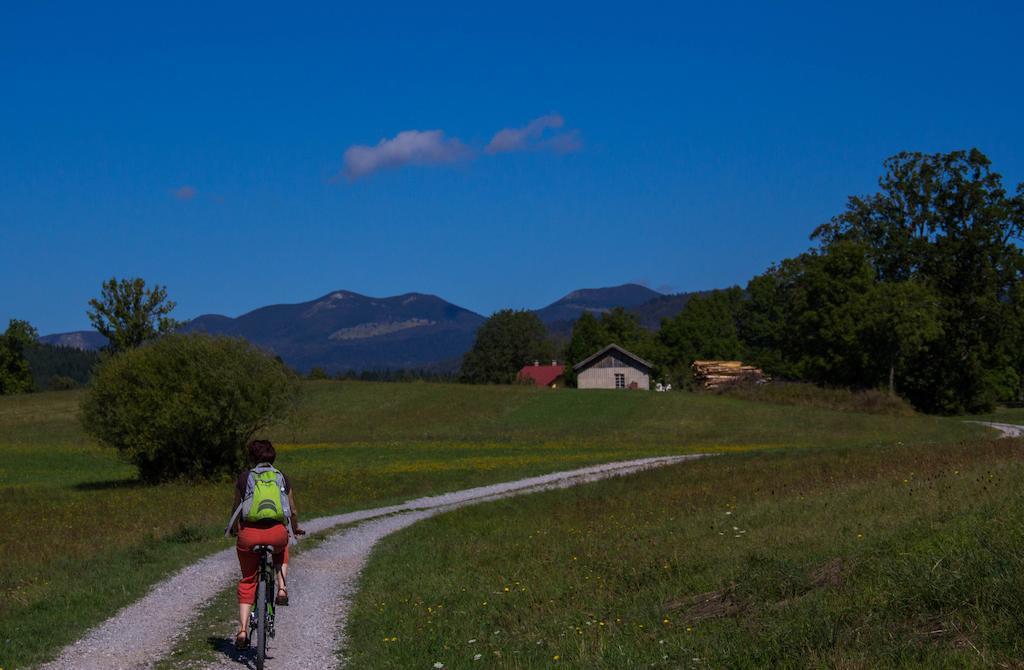 Lipizzaner Lodge Guest House Postumia Esterno foto
